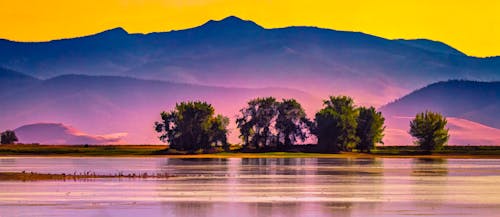 Free Imagine de stoc gratuită din artă, faunei sălbatice cu nouă țevi, Montana Stock Photo