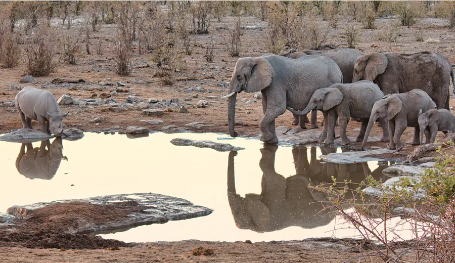 Jour 2 au parc d'Etosha