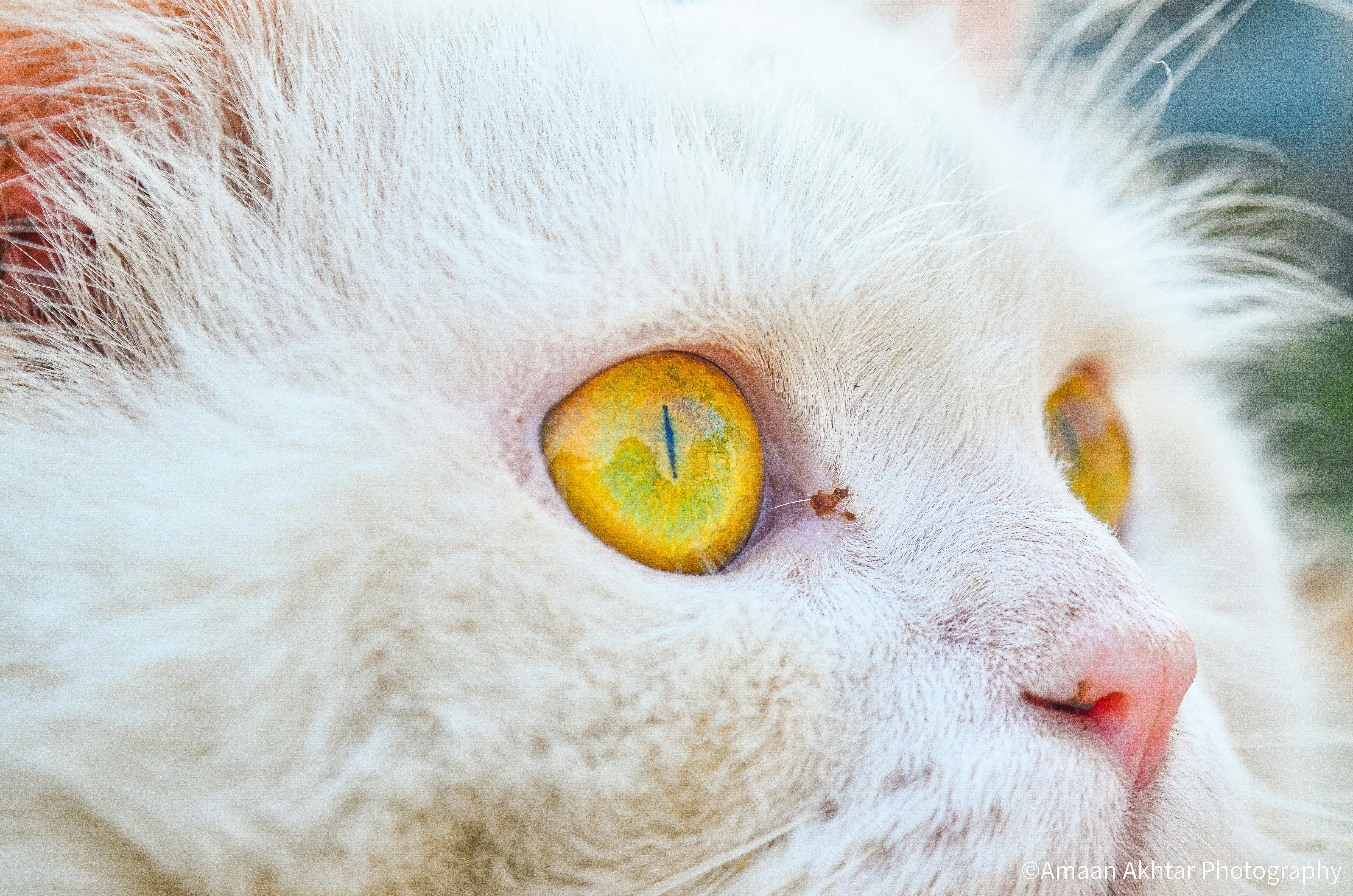 Young person editing audio and music on a laptop in a home studio