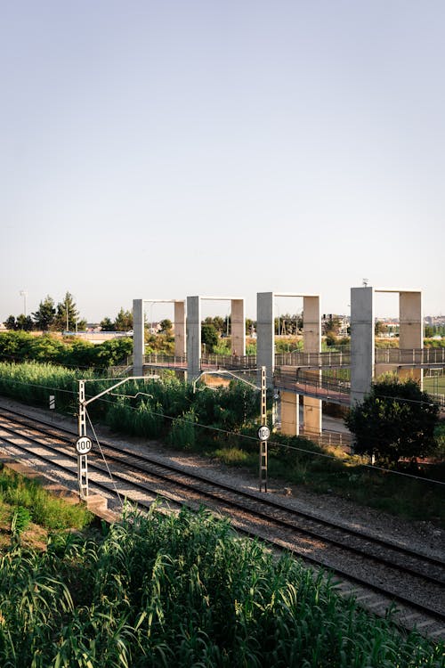 From above of railway tracks running between lush green plants under cloudless sky