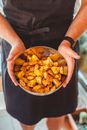 From above of crop unrecognizable person in apron holding plate with pieces of delicious fried potato