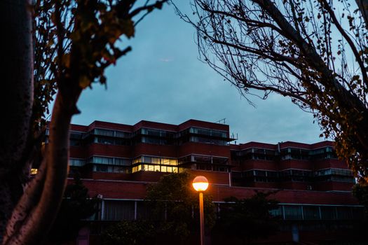 Low angle view from silhouettes of trees on multistory building and luminous lamp in dark evening