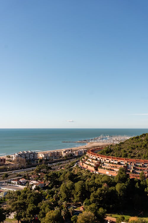 Residential houses and road with green trees growing on hill near sea under blue sky