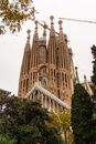 Tall medieval gothic basilica with spires located against cloudless sky on street of Spain city with green trees in Barcelona