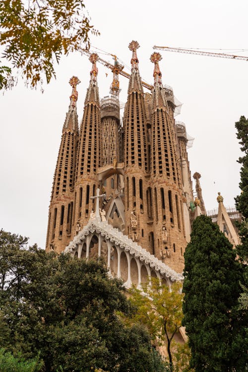 Tall medieval gothic basilica with spires located against cloudless sky on street of Spain city with green trees in Barcelona