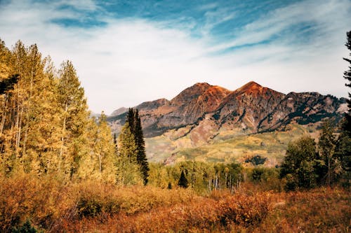 Free Rocky Mountain Near the Forest Stock Photo