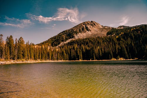 A Mountain Near the Forested Lakeside