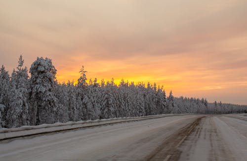 Sunset over Forest in Winter