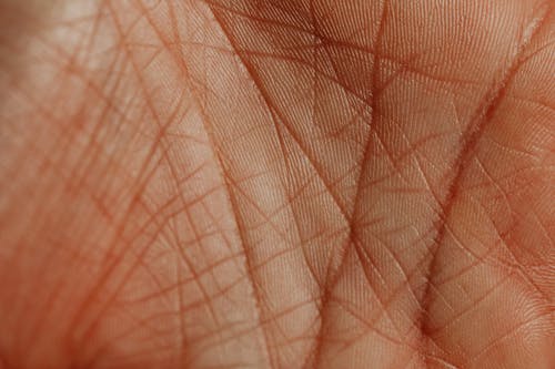 Texture of Human Palm