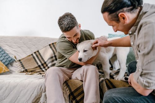 Free Two men sitting on a couch smiling and petting a dog indoors. Stock Photo