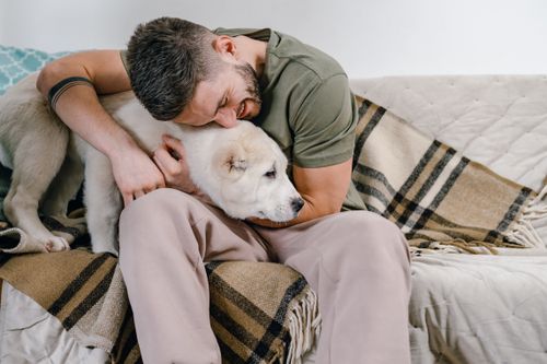Free A man lovingly hugs his dog while sitting on a cozy sofa inside a home setting. Stock Photo