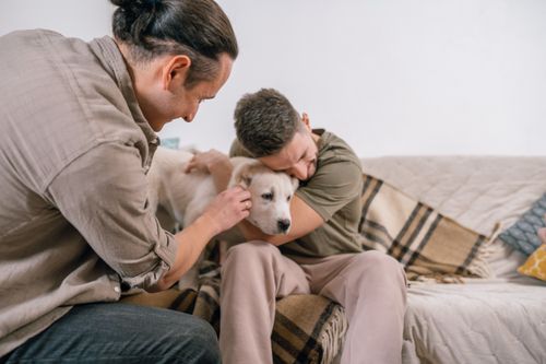 Free Two men joyfully hugging a cute dog on a cozy sofa indoors, reflecting friendship and warmth. Stock Photo