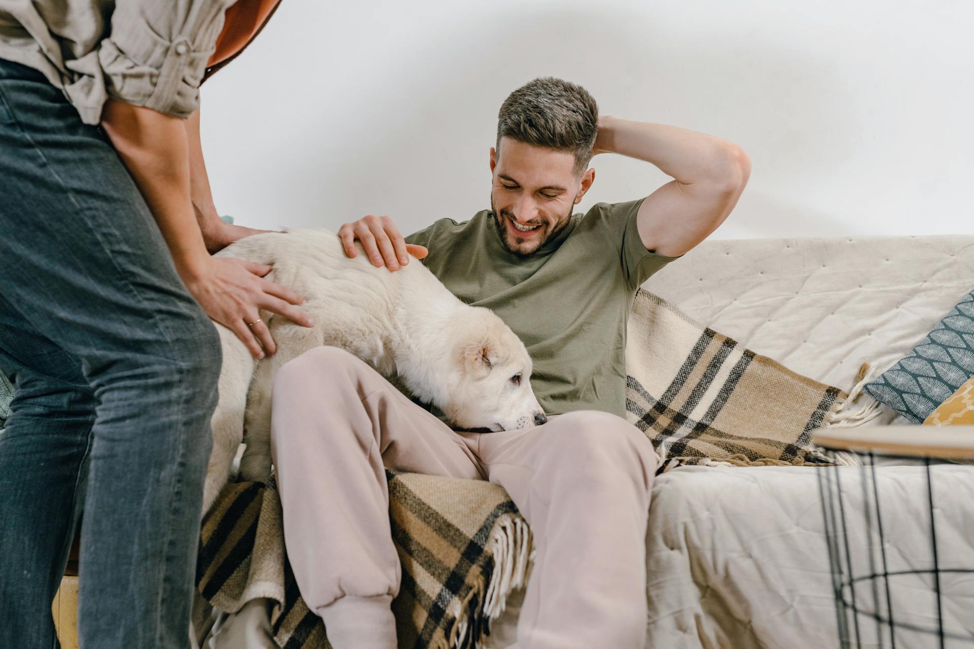 Man Sitting on a Sofa and another Man Giving Him a Puppy