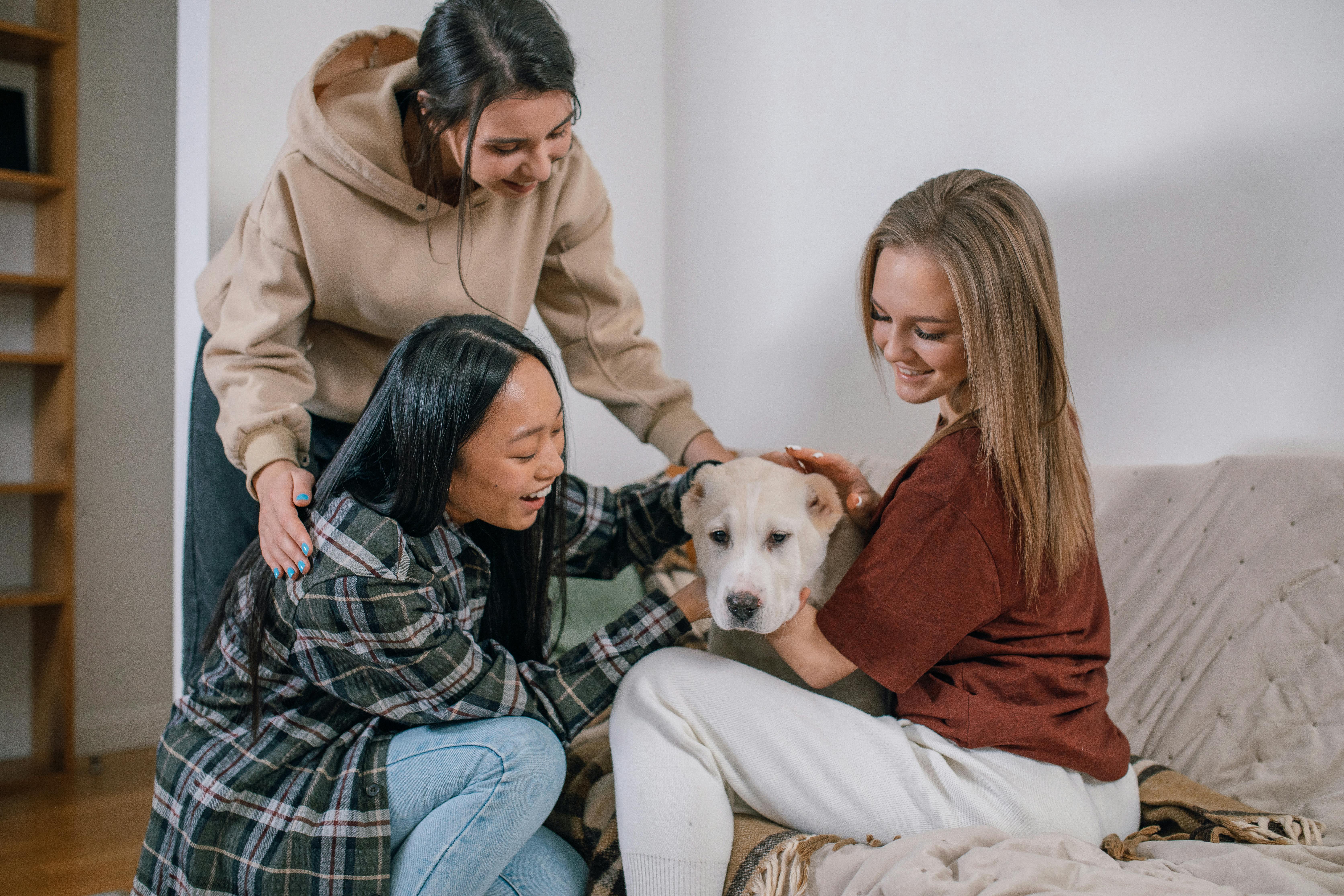 9 Best Pet Insurance Companies of May 2026 — Photo by Alena Darmel on Pexels
