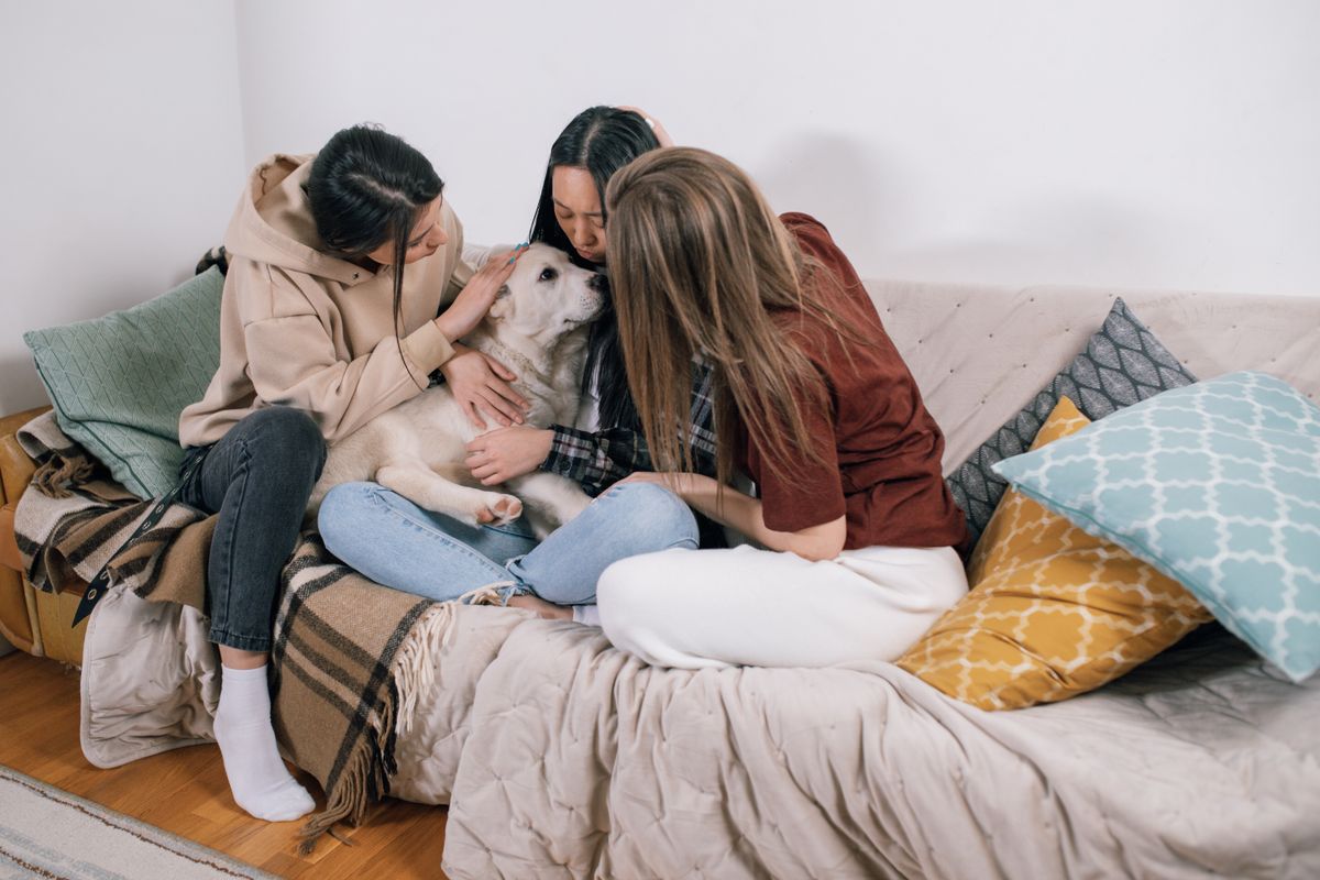 student moves in Waterlooville — Student Moves in Waterlooville — the working end of the job