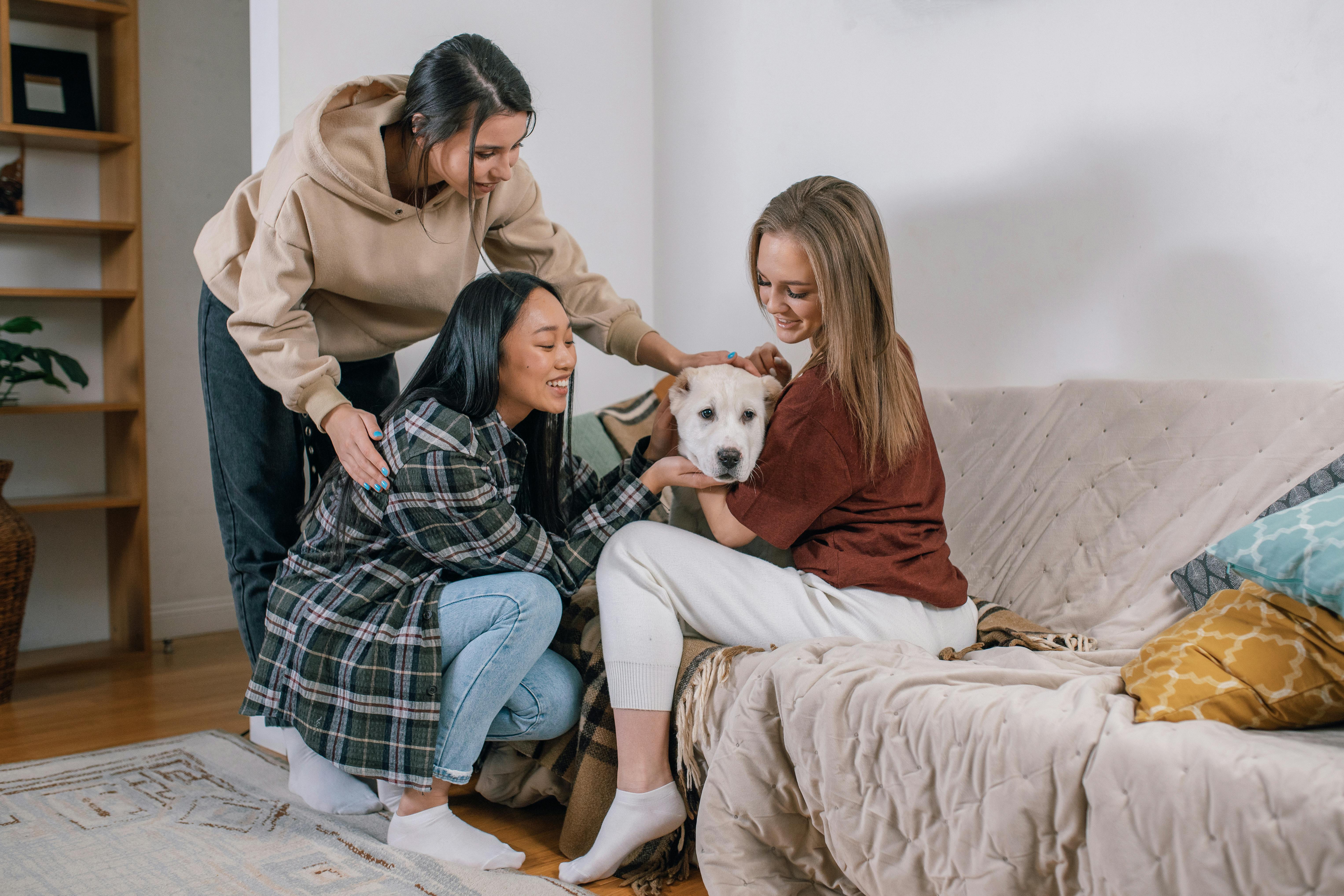 FinTech Pet Care Company Kennel Connection Announces Exclusive Diagnostic Partnership with Petwealth, Bringing Clinical-Grade