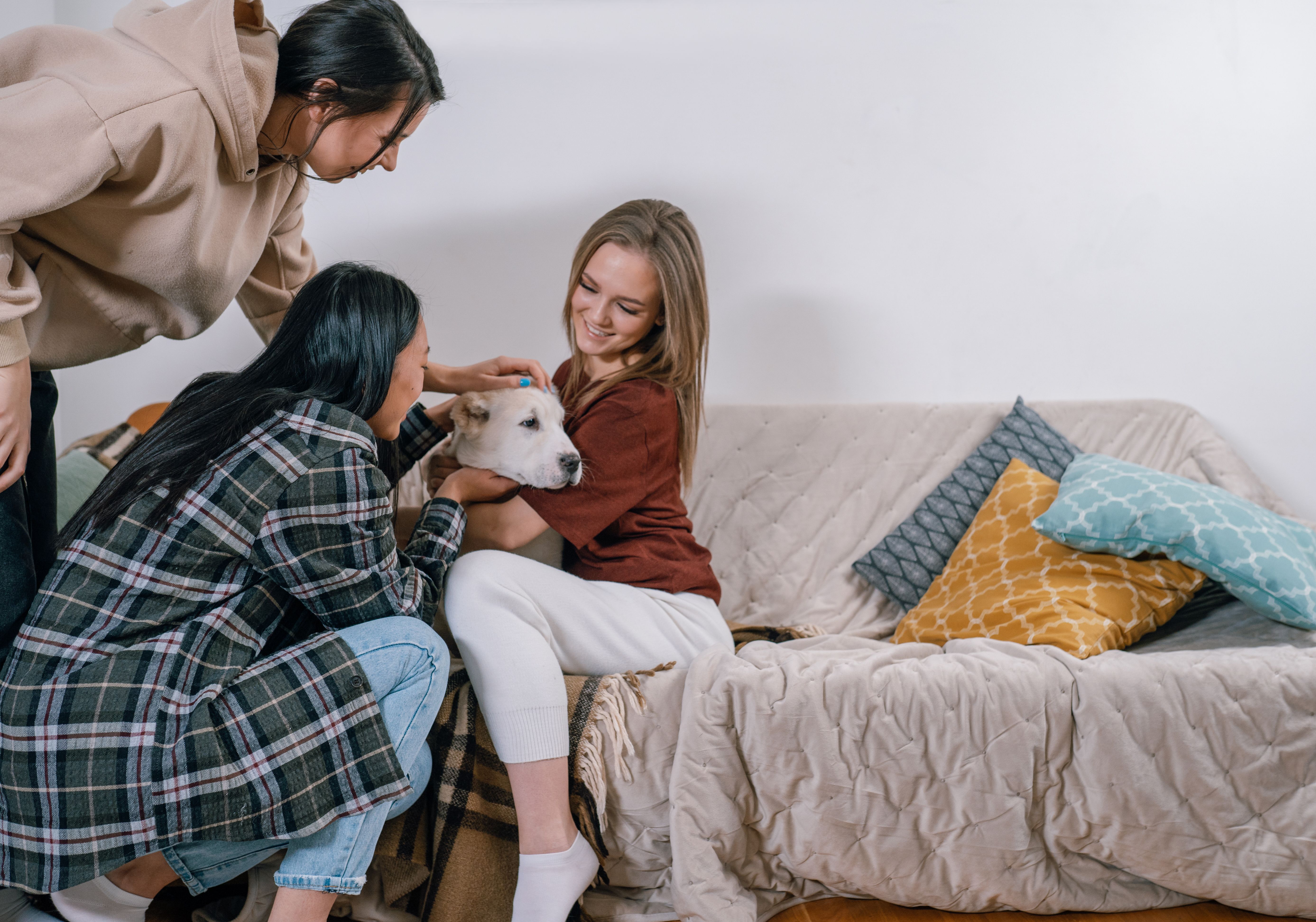 9 Best Pet Insurance Companies of May 2026 — Photo by Alena Darmel on Pexels