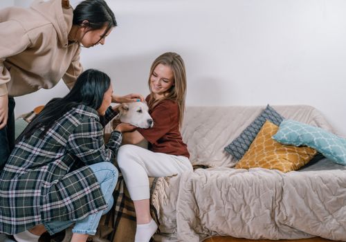 Free Three women having fun with a white dog on a couch, emphasizing companionship and joy. Stock Photo
