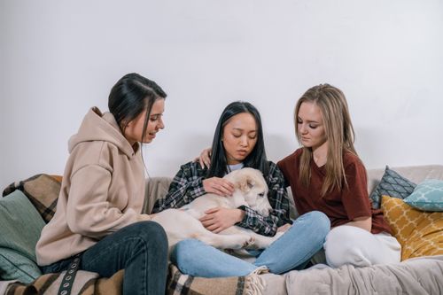 Free Three friends bond while comforting a dog on a cozy sofa, capturing a moment of empathy and care. Stock Photo