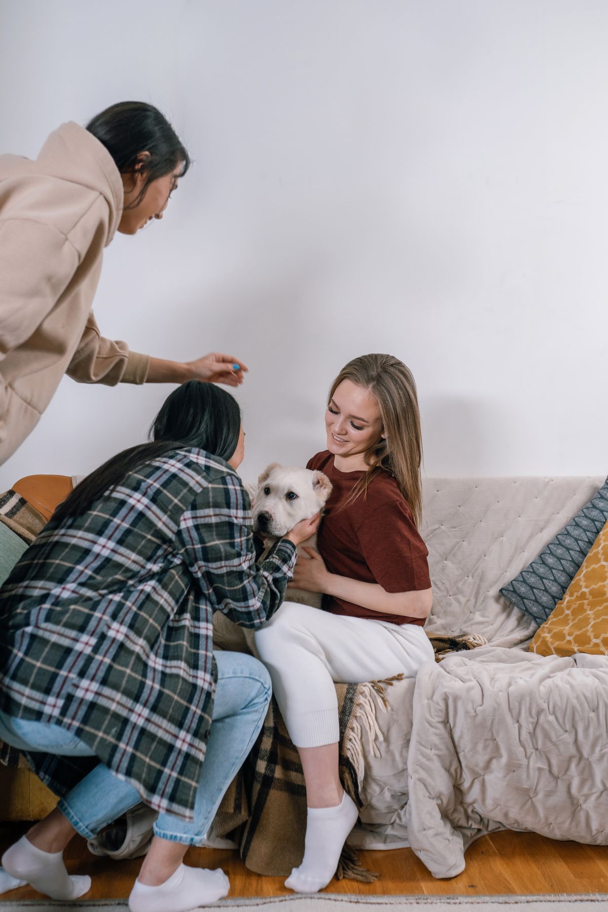 Friends warmly interacting with a white dog on a comfortable sofa