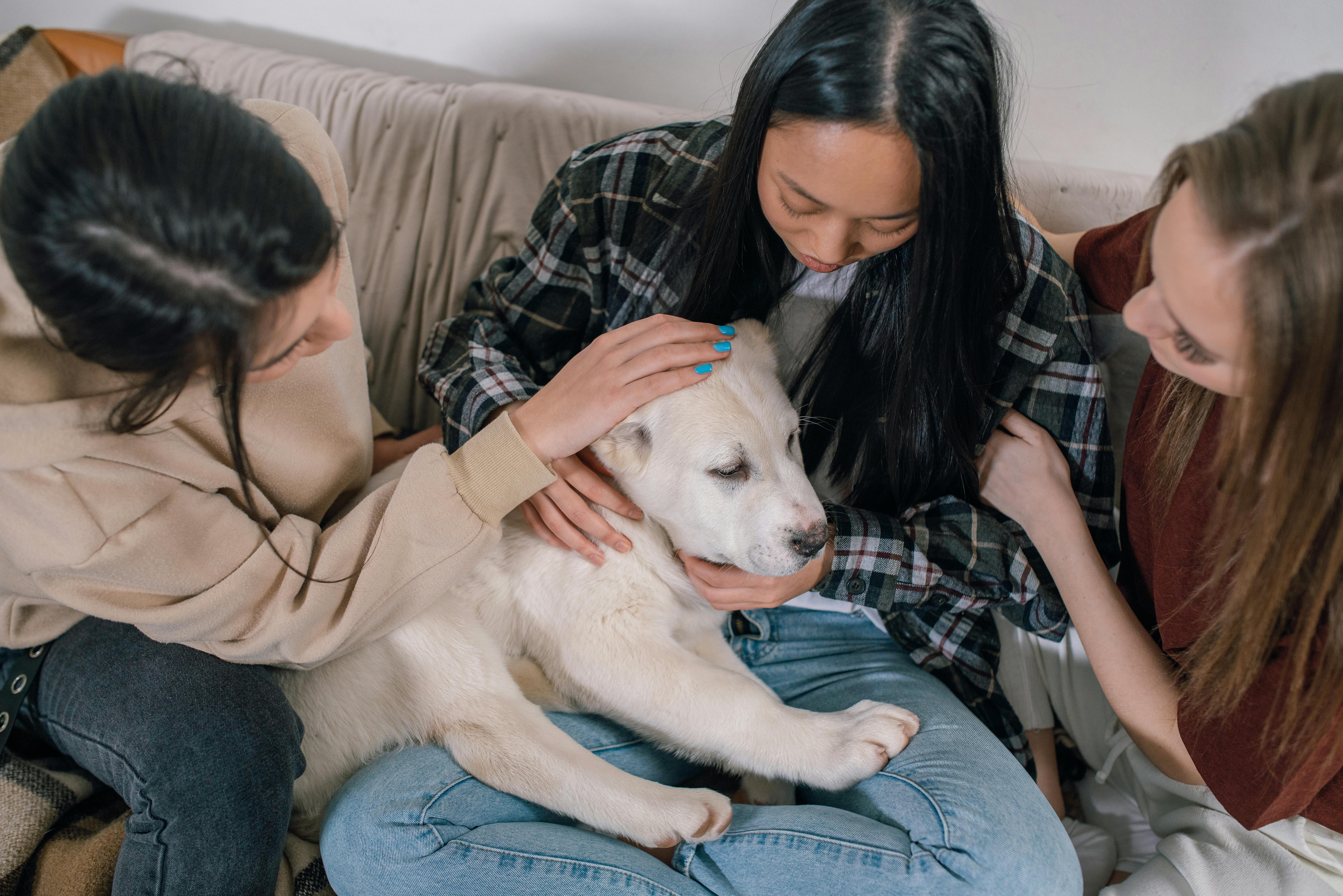 Dog looking out a window while owner prepares to leave