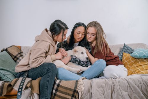 Free Three women sitting on a couch comforting with a dog, symbolizing support and friendship. Stock Photo