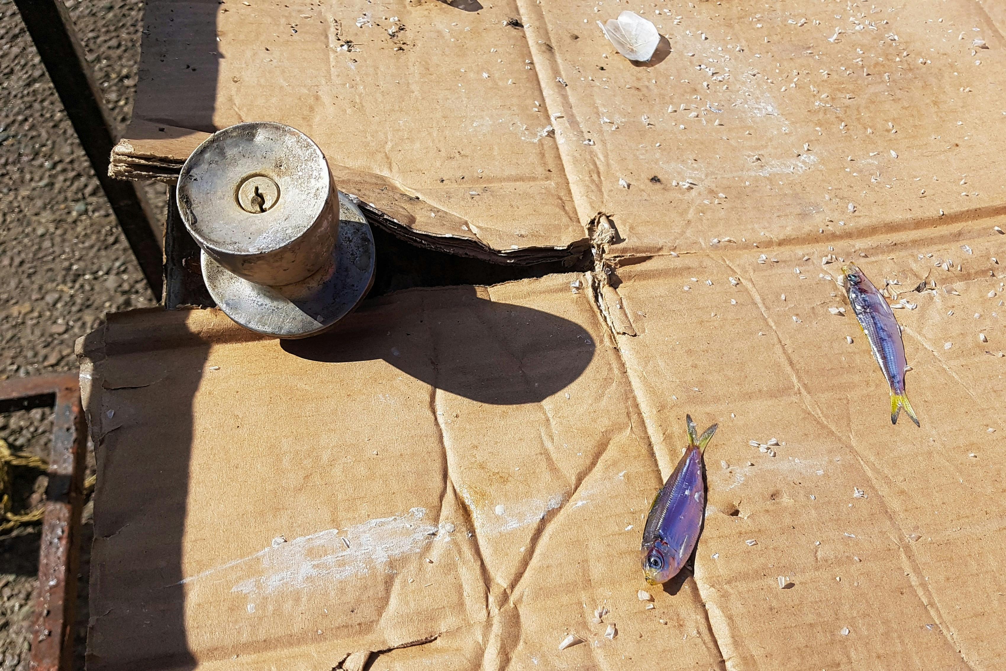 Community cultural experience