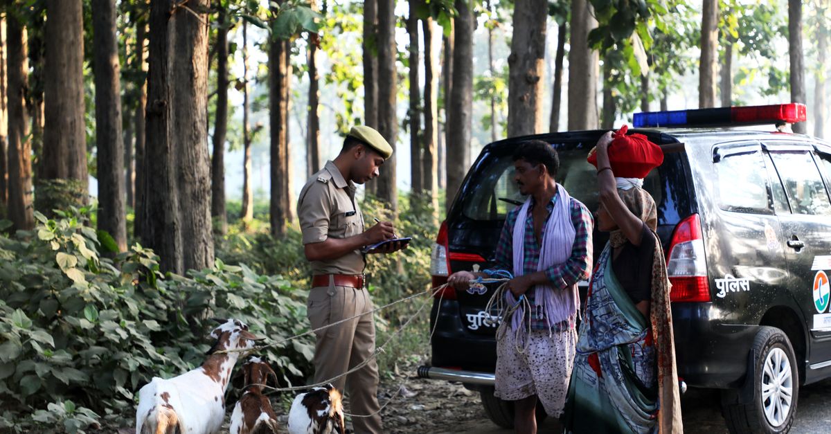Telangana Police Bolster Animal Welfare Efforts: From Hyderabad to Districts, Aiding Rescues and Enforcement
