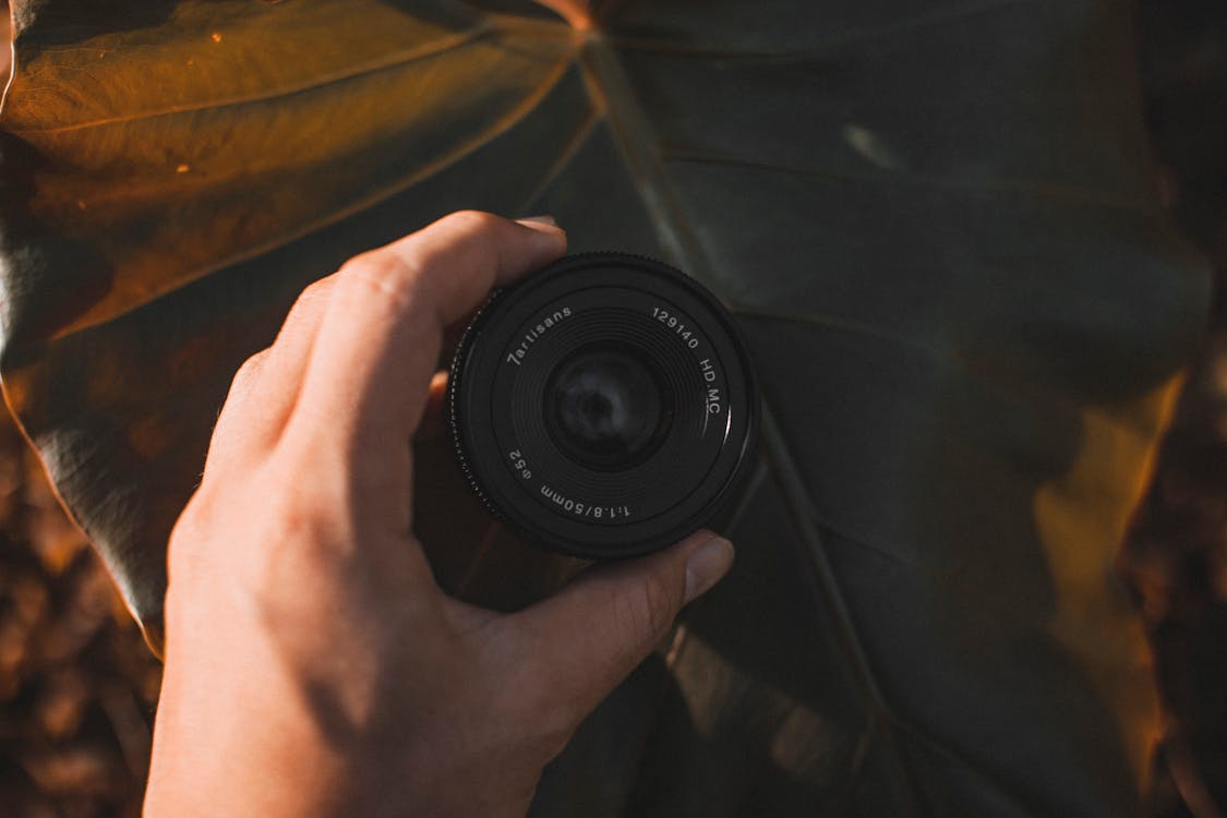 Top view of crop anonymous man with professional photo camera lens over large plant leaf outdoors