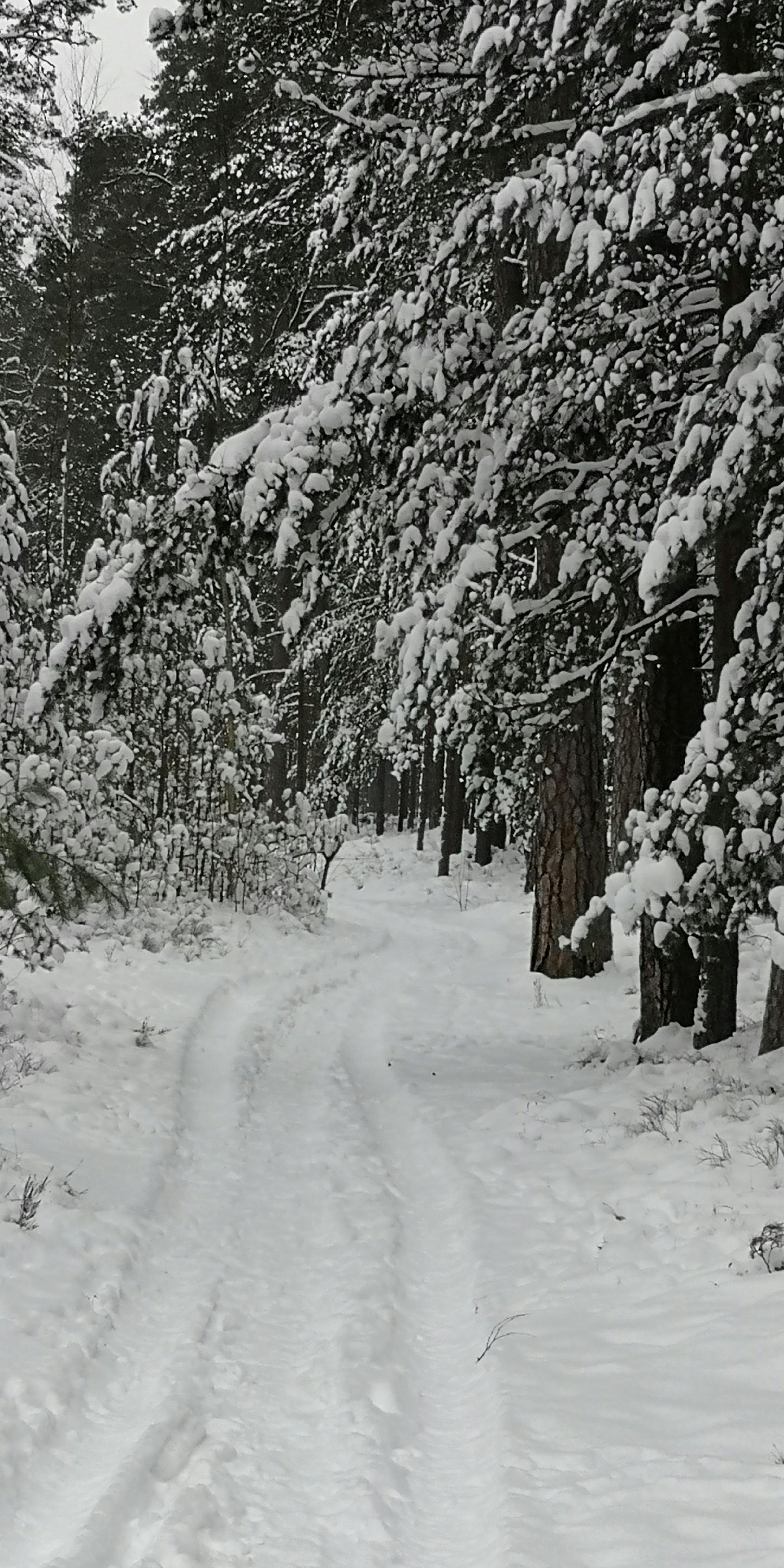 新音頻技術如何讓盲人球迷在2026年AFCON賽事中零障礙追賽？摩洛哥創新剖析與未來預測