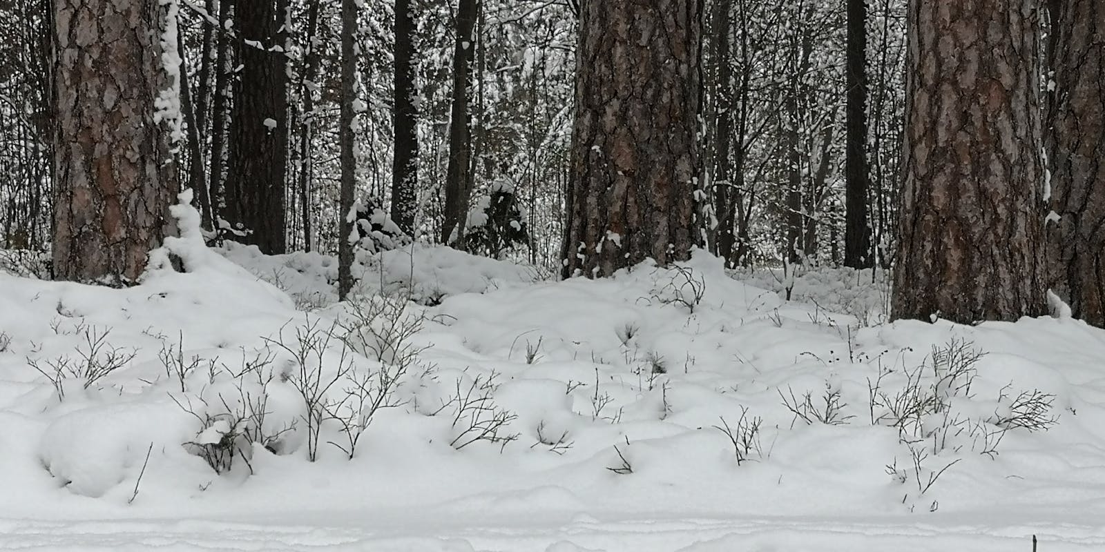 Group of parents sitting in a circle and talking supportively