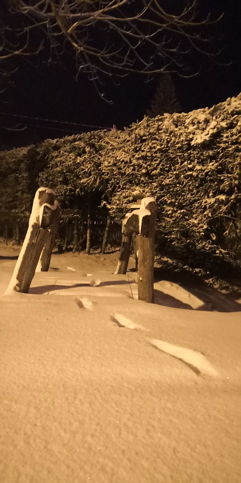 Volunteers preparing meals