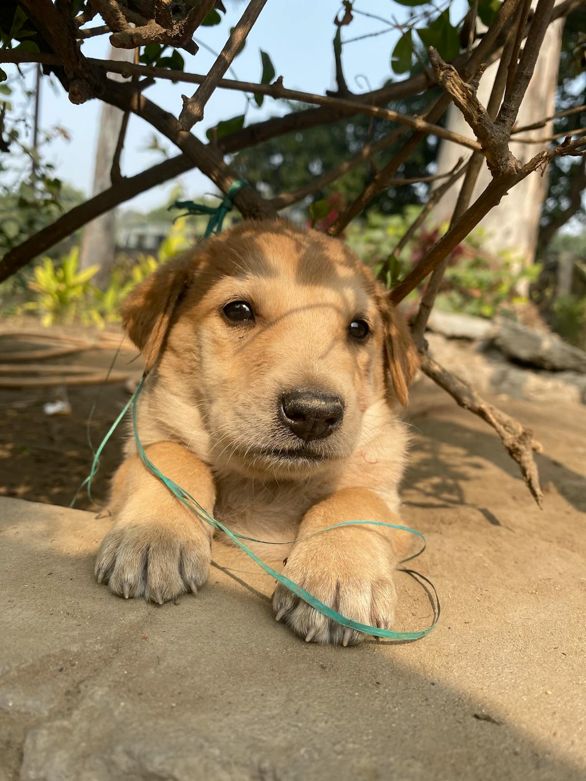 Healthcare initiative