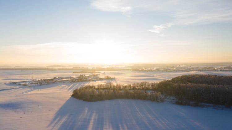 High Angle View Of A Flat Terrain Under Snow And Trees