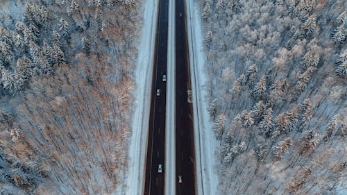 Aerial View of Road Between Trees