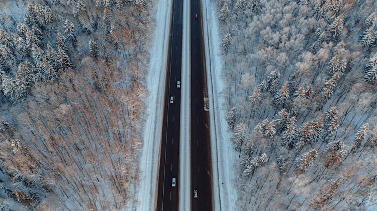 Aerial View Of Road Between Trees