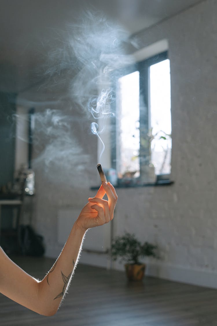 A Person Holding Palo Santo