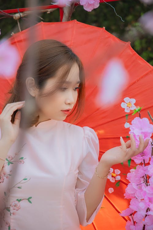 Free A Woman Holding Cherry Blossom Flowers Stock Photo