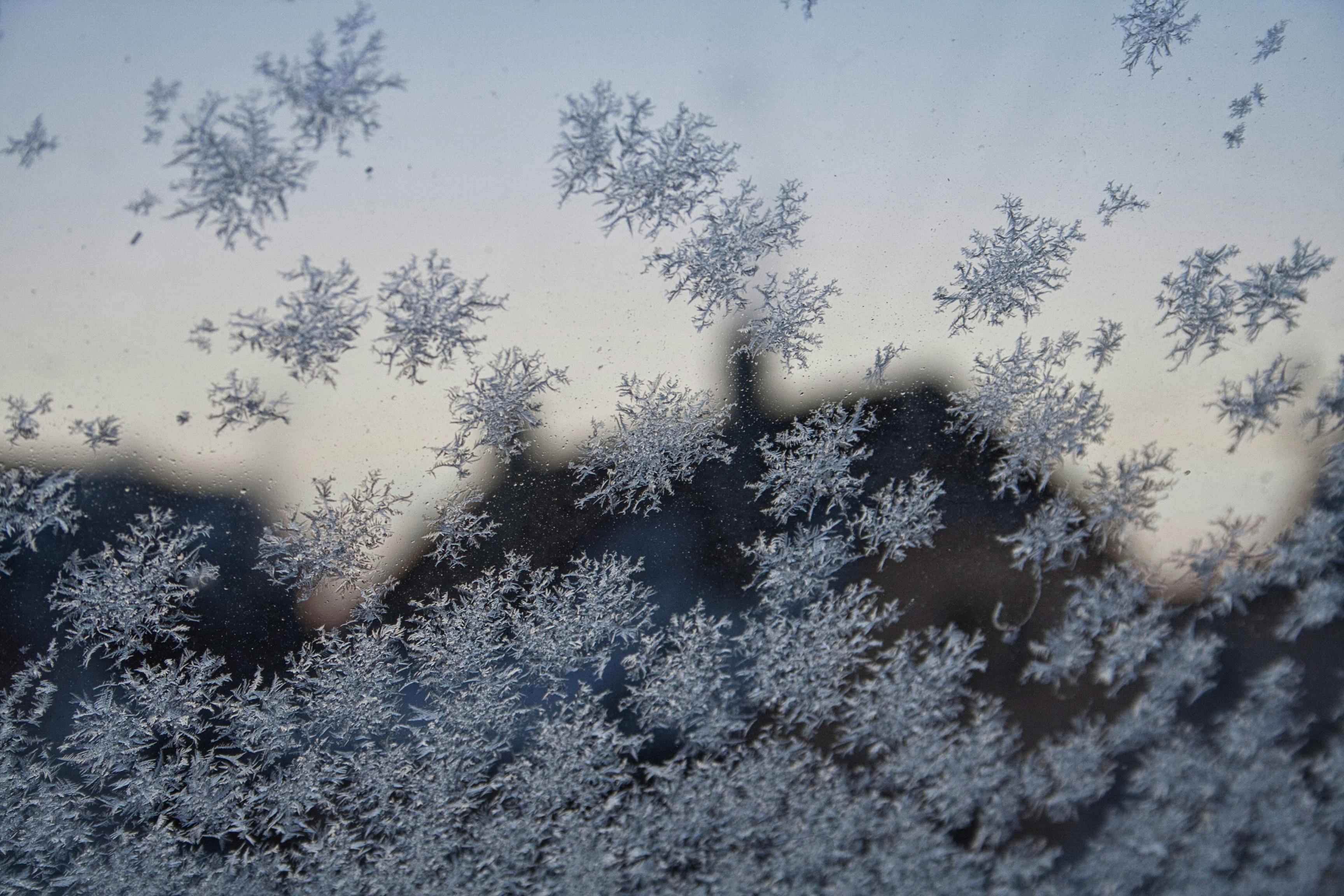 Macro Photography of Snowflake · Free Stock Photo