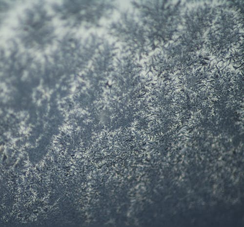 Fotobanka s bezplatnými fotkami na tému chladný, sezóna, sneh