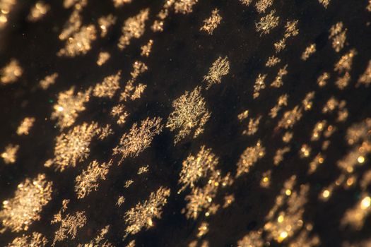 Macro view of intricate snowflake patterns on a dark glass surface capturing winter's beauty.