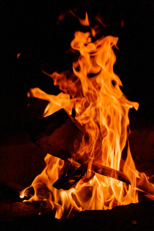 Foto stok gratis api, api unggun, kayu bakar