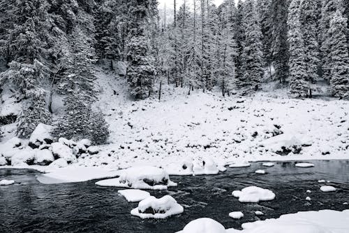 A Nature photography of a Flowing River During Winter Season