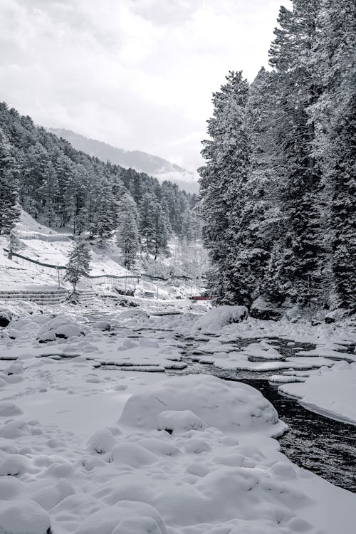 A Nature Photography of a River During the Winter Season