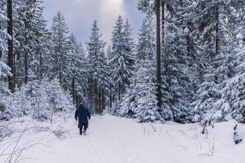 Free A man in a blue jacket walks through a snow-covered forest in Crawinkel, Germany. Stock Photo