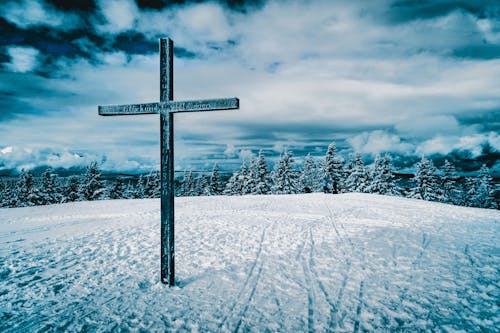 Cross on Snow Covered Ground