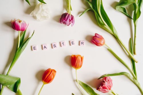 Free Easter-themed flatlay with colorful tulips and Scrabble tiles spelling 'EASTER' on a white background. Stock Photo