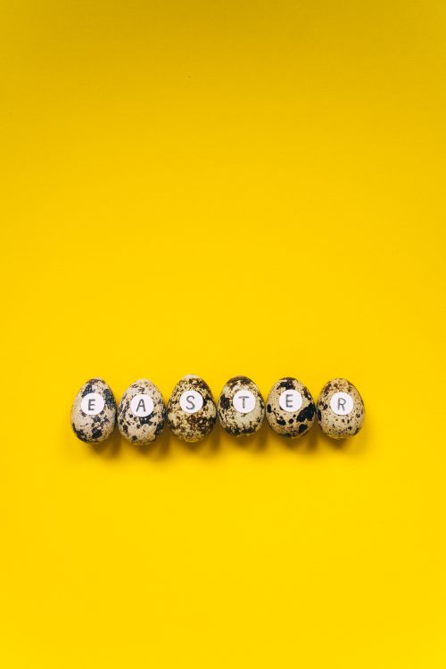 Free Quail eggs spelling 'Easter' on a bold yellow background. Perfect for seasonal decoration. Stock Photo