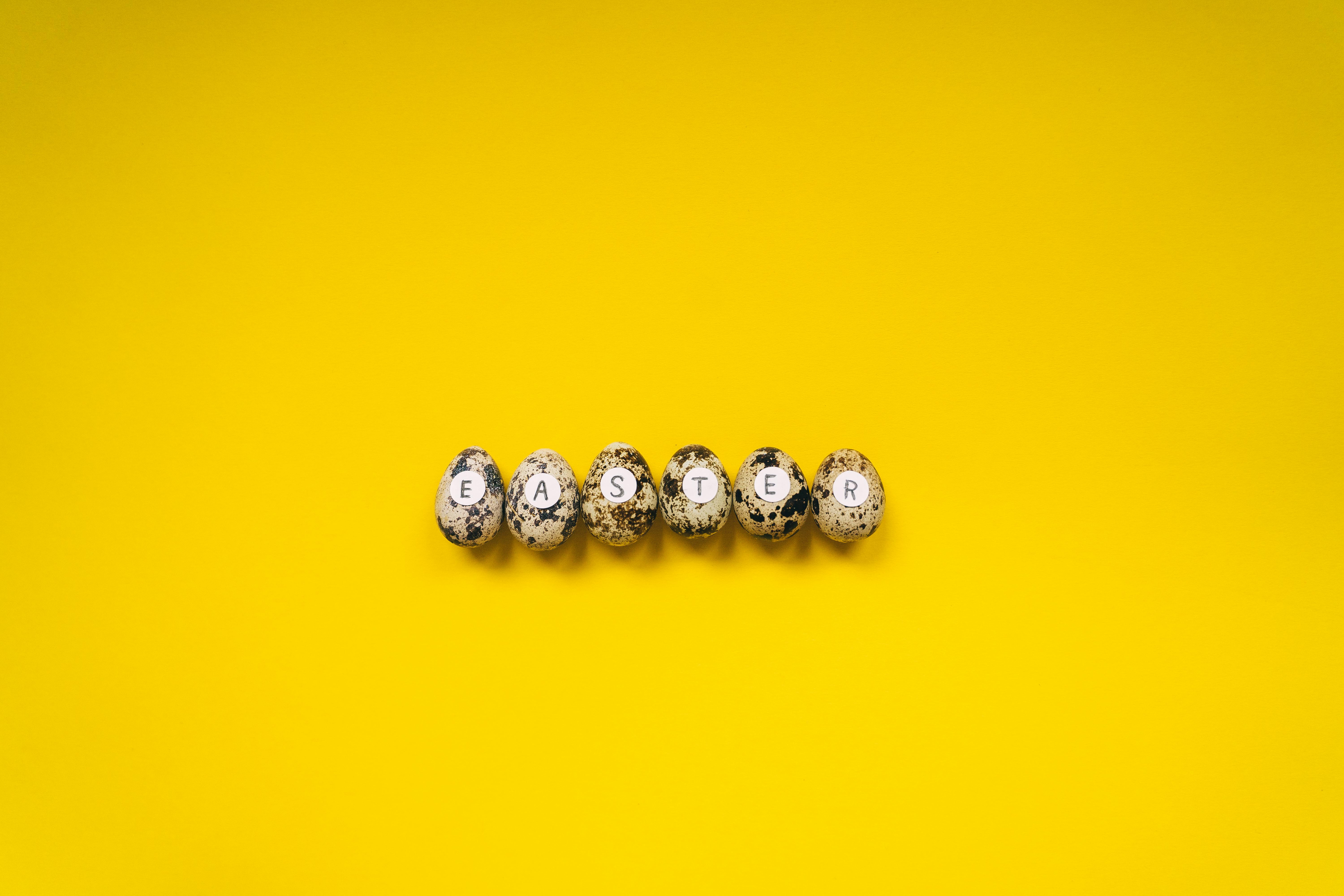 免费 假日, 假日季节, 充滿活力 的 免费素材图片 素材图片