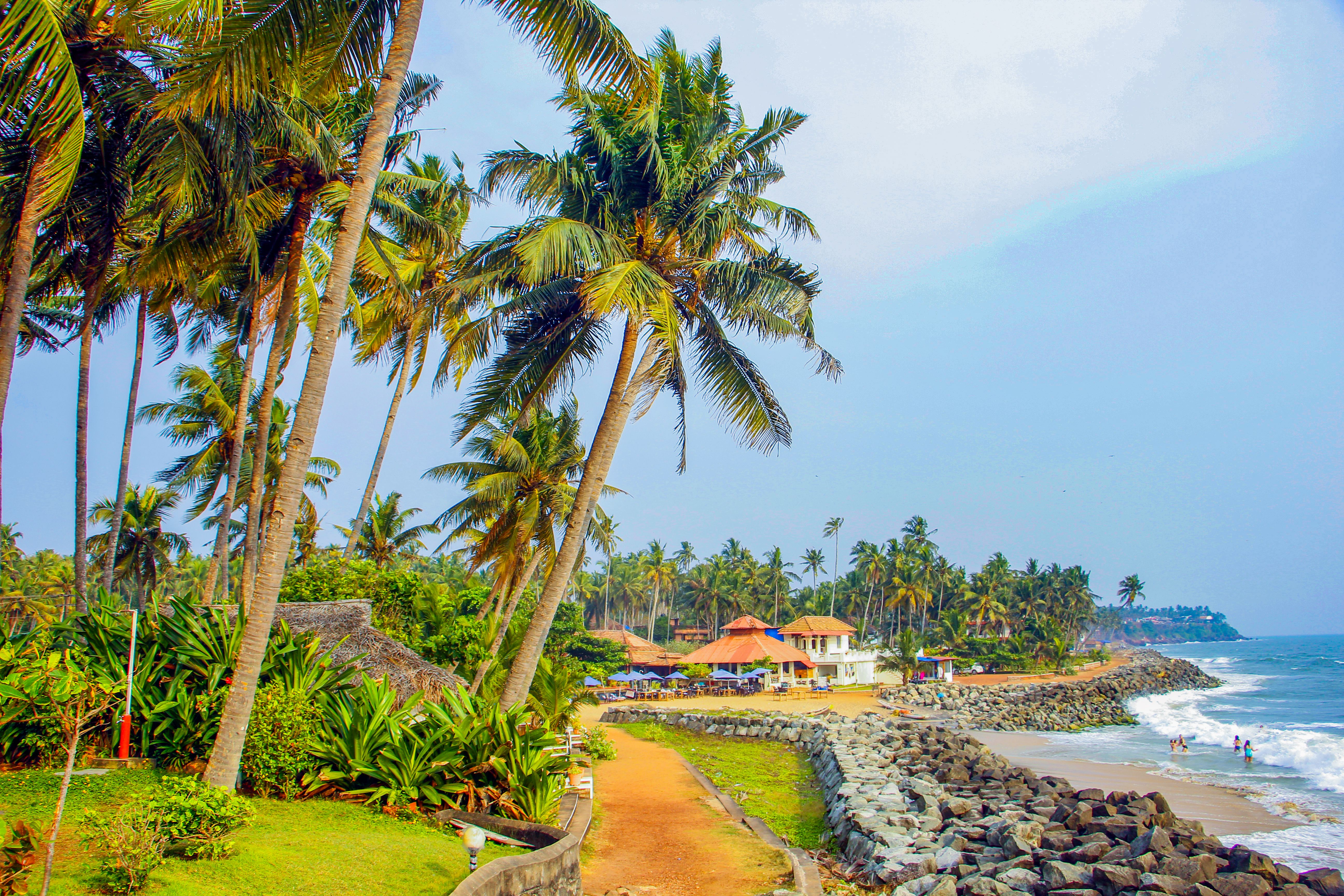 Wide sandy beach at Cherai with coconut palms and a backwater channel behind the dunes